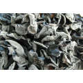 Dried Agaric Black Fungus Dry Wood Ear Mushroom